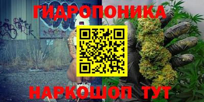 прущие крисы Конаково