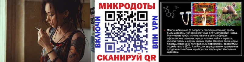купить наркотики сайты  Курчатов  Галлюциногенные грибы MAGIC MUSHROOMS 