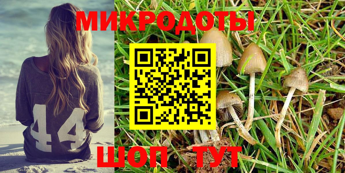 Псилоцибиновые грибы прущие грибы  где найти   Курчатов  Вход с VPN 