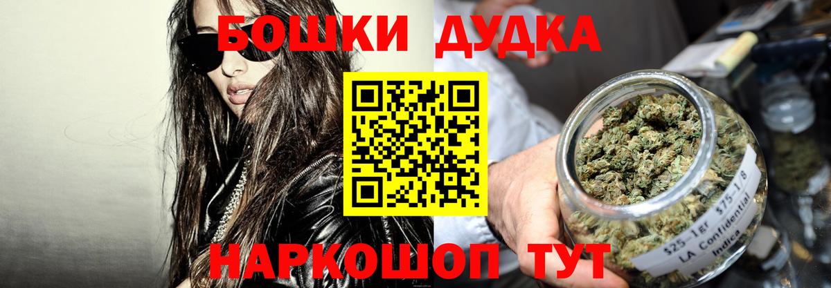 Бошки Шишки планчик Курчатов